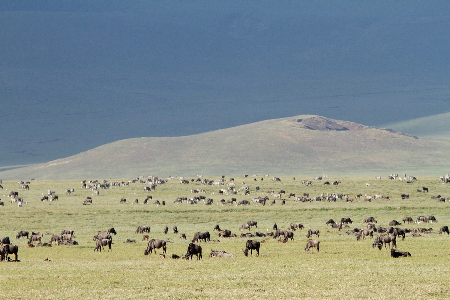 Ngorongoro Crater Day Tour