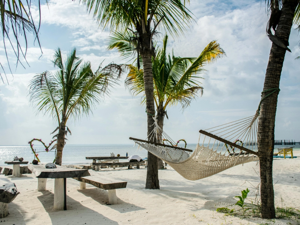 Enjoy a 3-day luxury safari from Zanzibar to Mikumi National Park