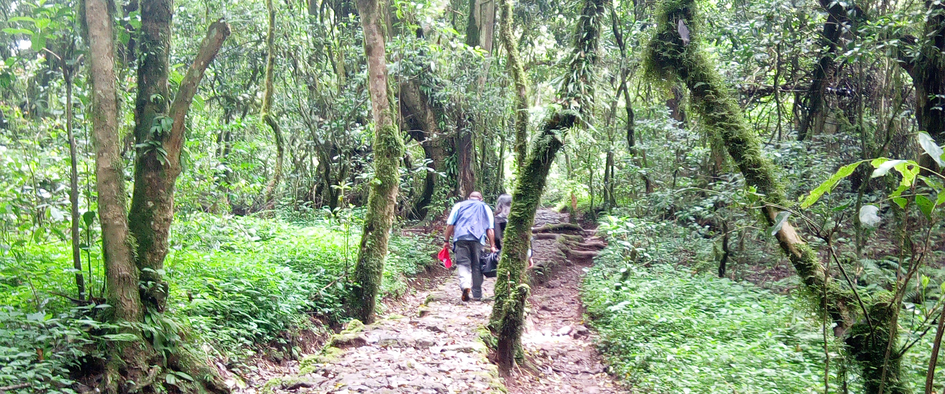 kilimanjaro-day-trip