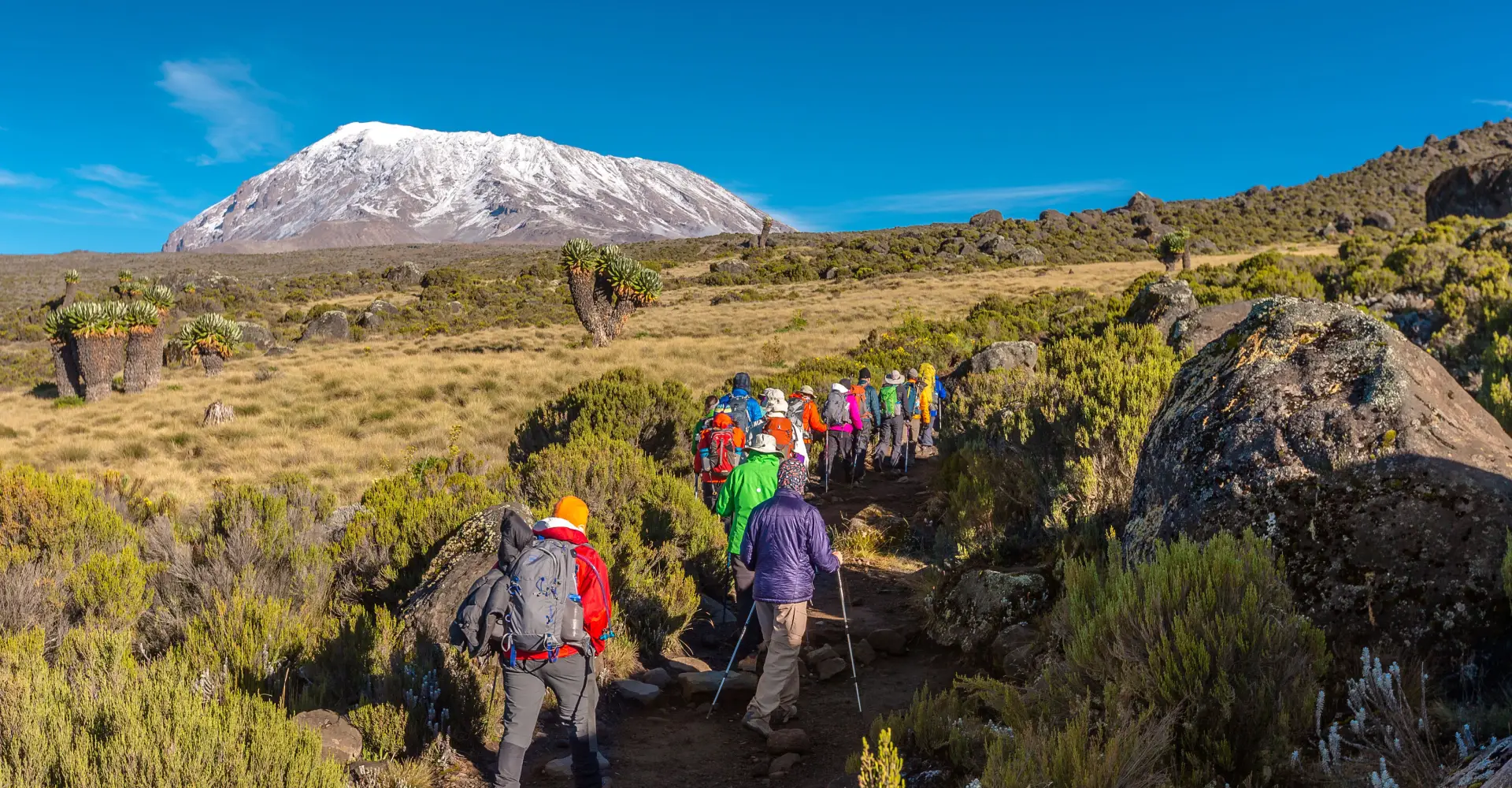 Tips for Selecting the Best Trekking Route Up Kilimanjaro