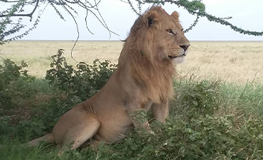 6days-nature-and-adventure-safari