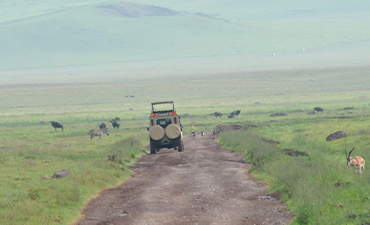 5days-ultimate-tanzania-safari