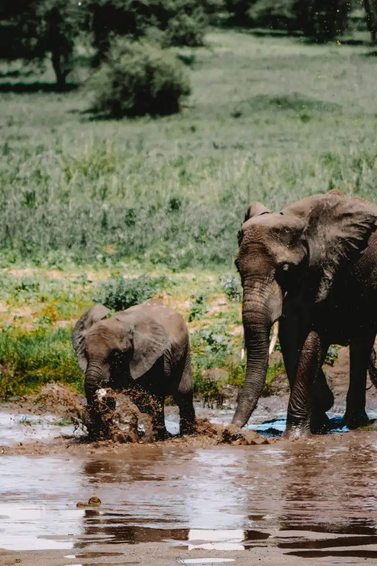 Tanzania Travel Safety Guide: What Every Visitor Should Know